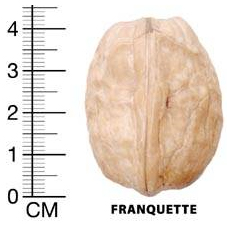 Franquette